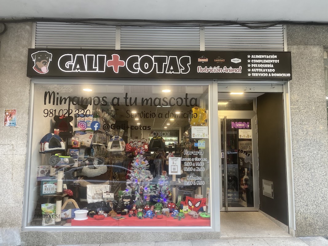 Gali+cotas en Santiago de Compostela