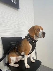 Centro Veterinario Puerta de Purchena en Almería