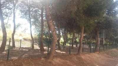 Pipicà Arrabassada en Tarragona