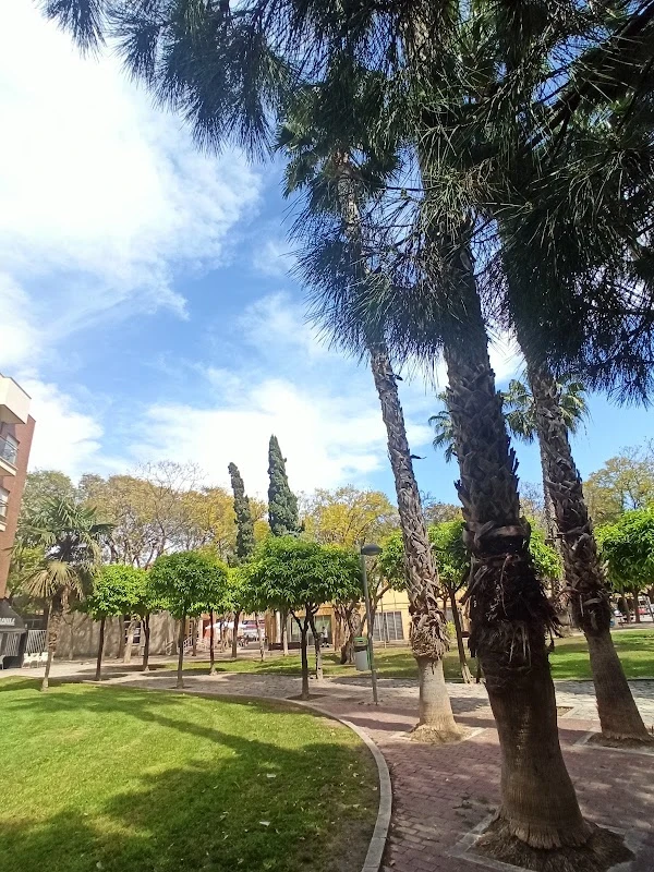 Plaza Reina Sofía en Murcia