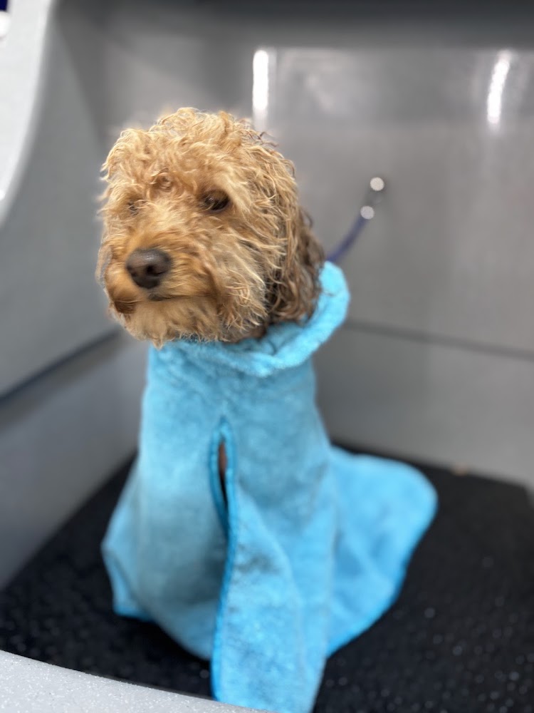 LimaCan Dog Grooming en Huelva