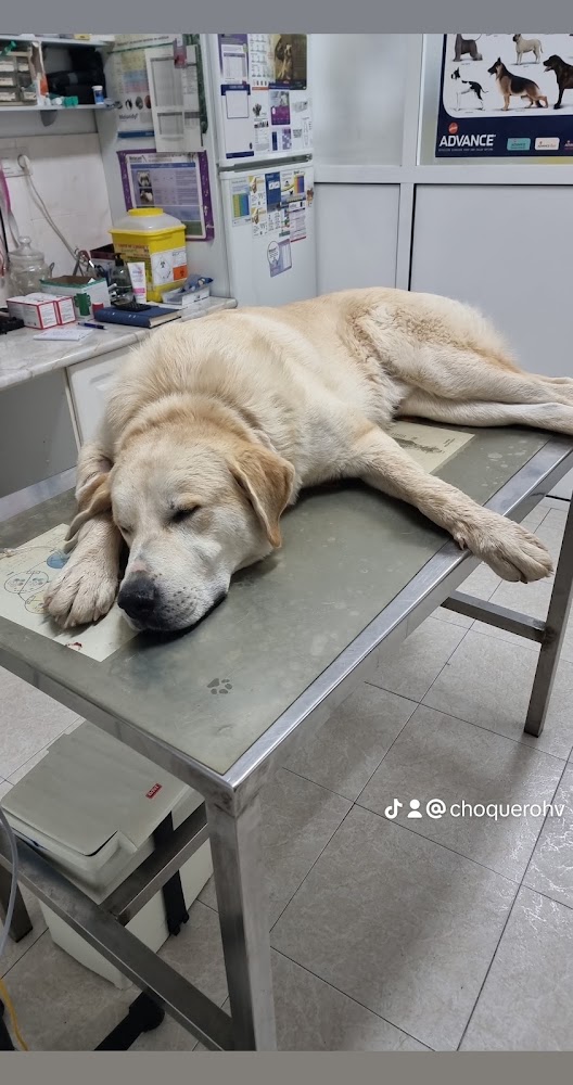 Clínica Veterinaria San Sebastián en Huelva