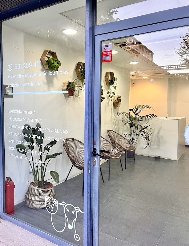 Clínica Veterinaria Lladruc en Valencia