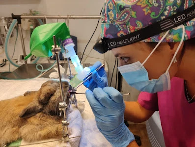 Clínica Veterinaria Oliveros en Almería
