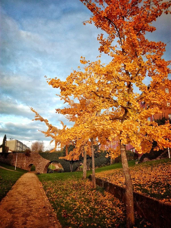Parque de San Caetano en Santiago de Compostela