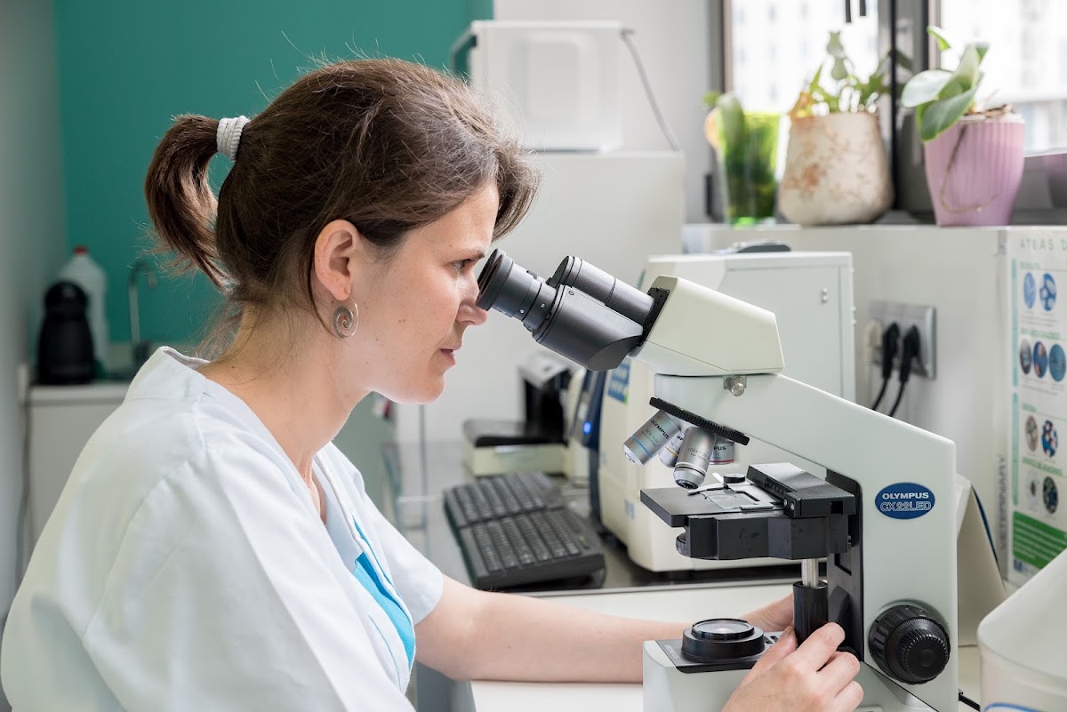Les Corts Clínica Veterinària en Tarragona