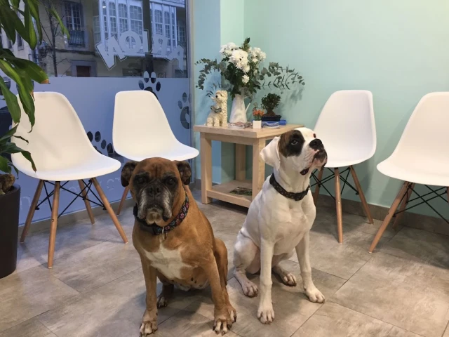 Centro Veterinario Nos en A Coruña