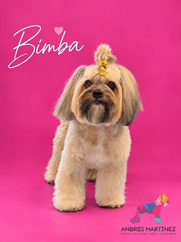 Peluquería Canina Andrés Martínez en Santiago de Compostela