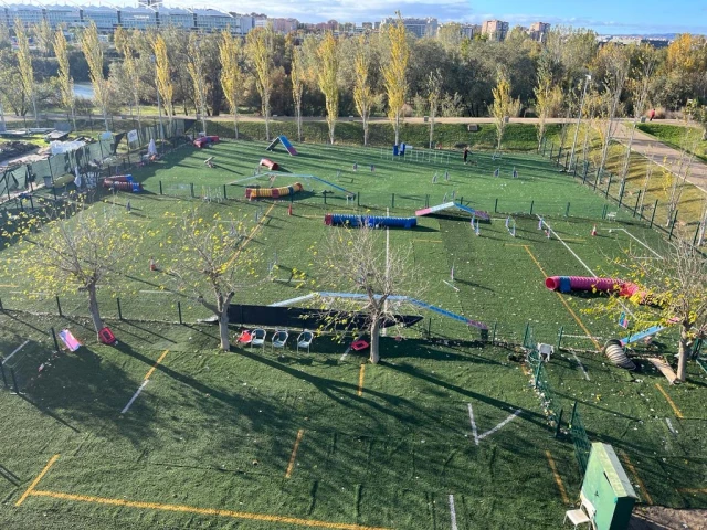 DIVERTIDOG en Zaragoza