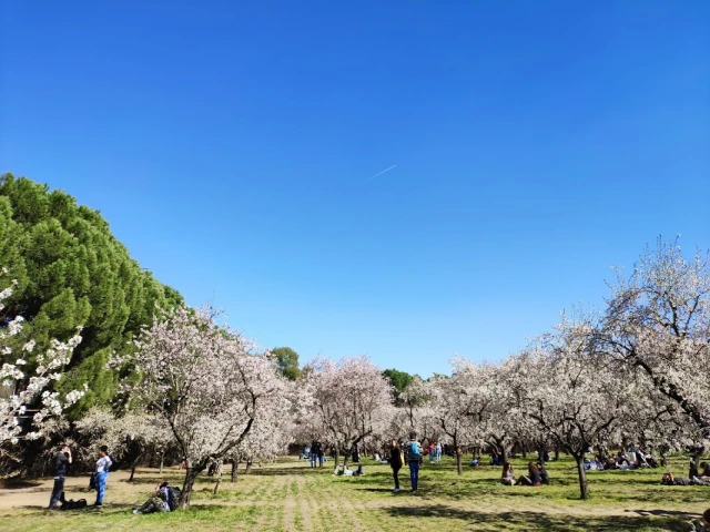 Parque de la Quinta de los Molinos en Madrid