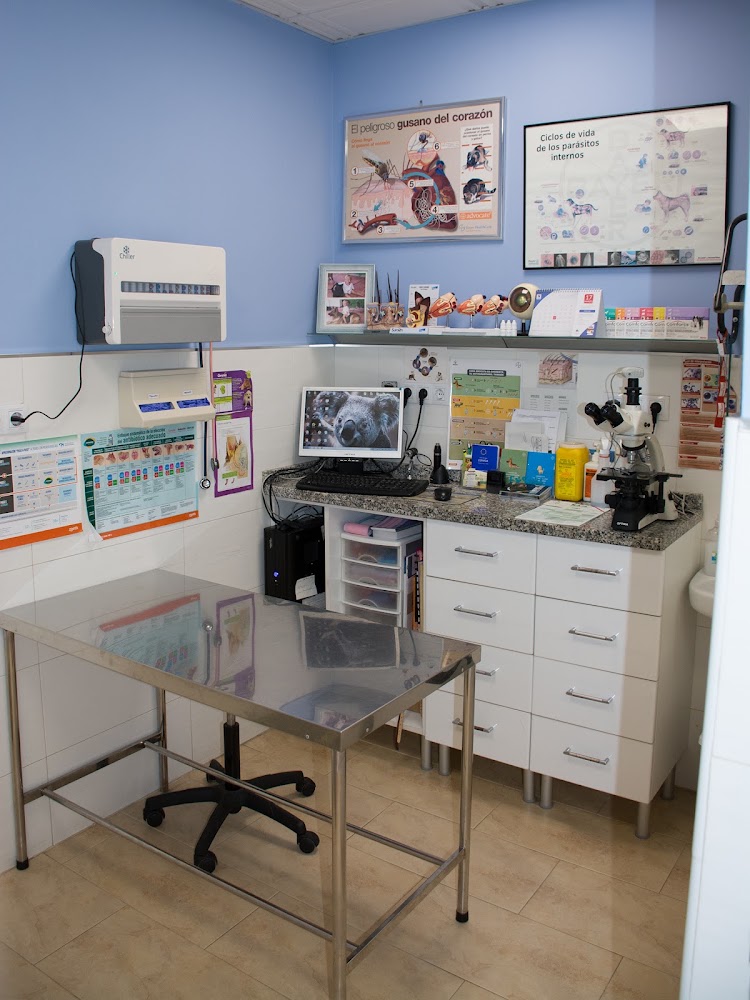 Centro Veterinario Adoratrices en Huelva
