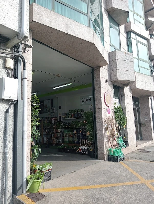 Piensos León en Santiago de Compostela