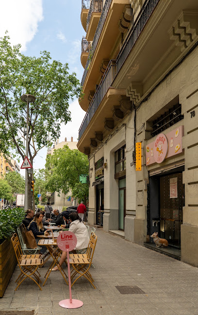 Corgi Café Sagrada Família en Barcelona