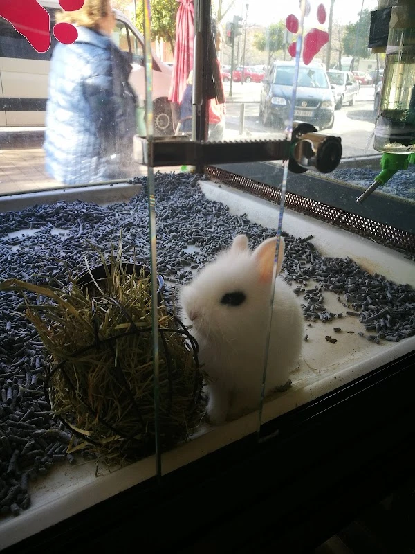 VIDA MASCOTA en Córdoba