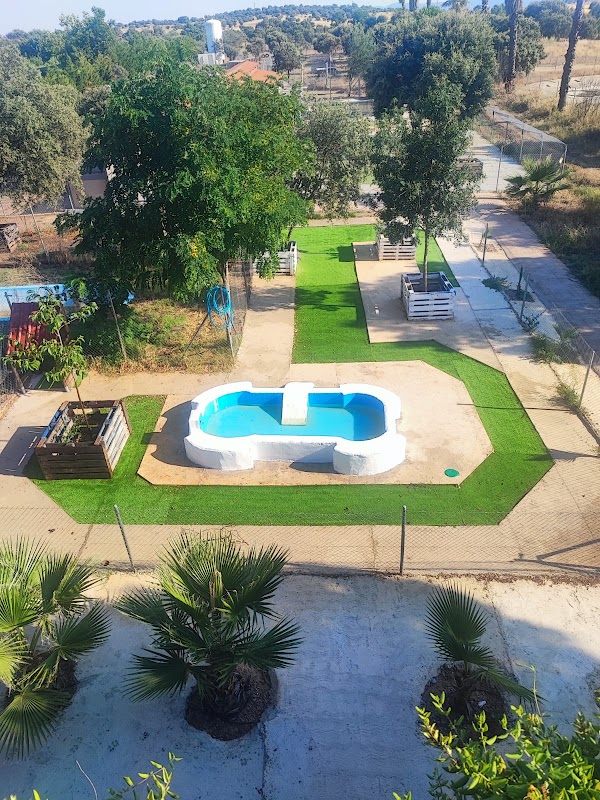 Mascout - Club y hotel canino en Cáceres