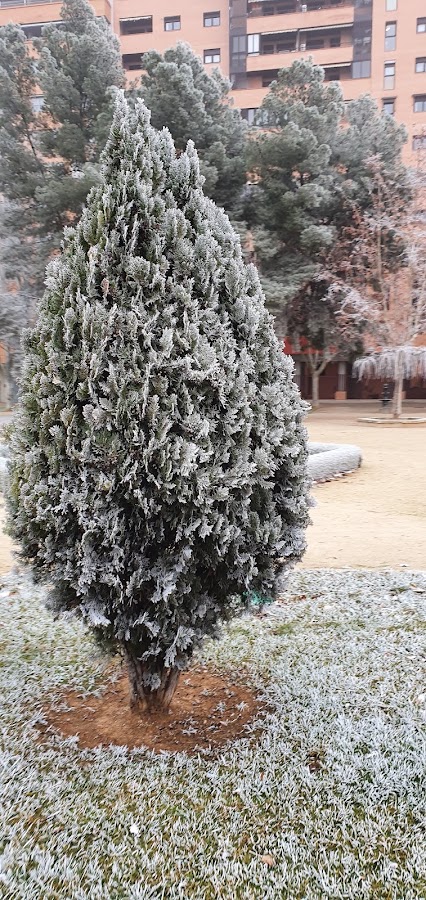 Jardines de Avicebrón en Zaragoza