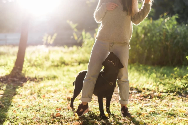 Consultorio Veterinario Zaragoza Canina en Zaragoza