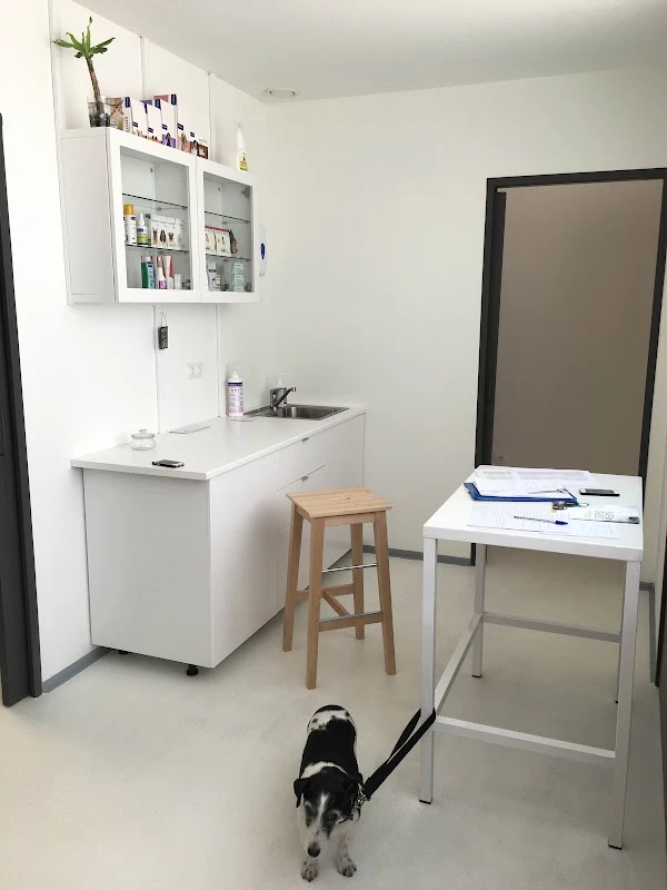 Club Veterinario Salamanca en Salamanca