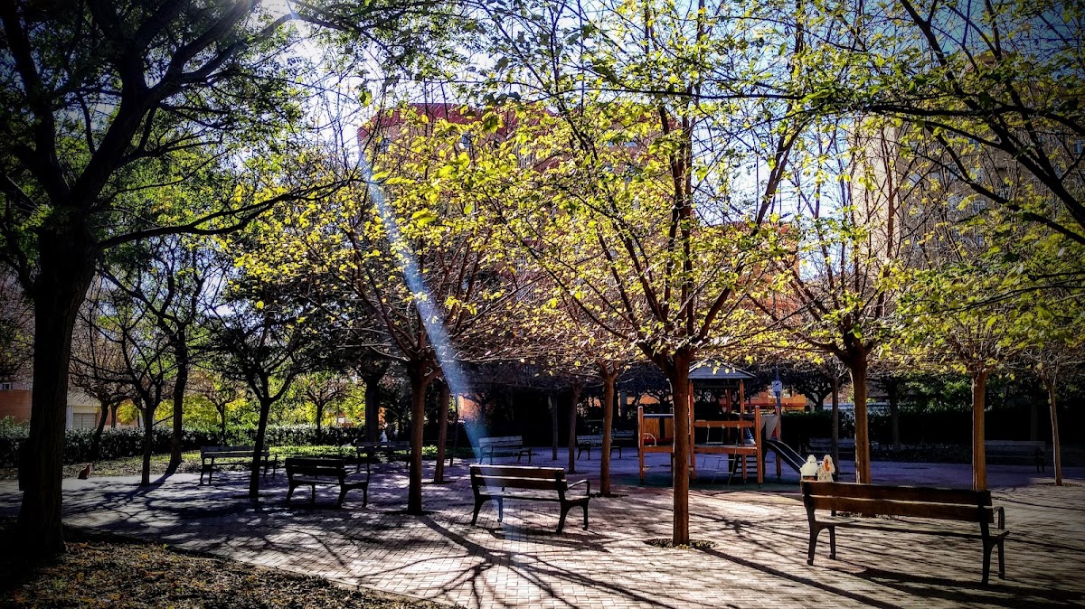 Zona canina Parque Cronista Enrique Cutillas Bernal en Alicante