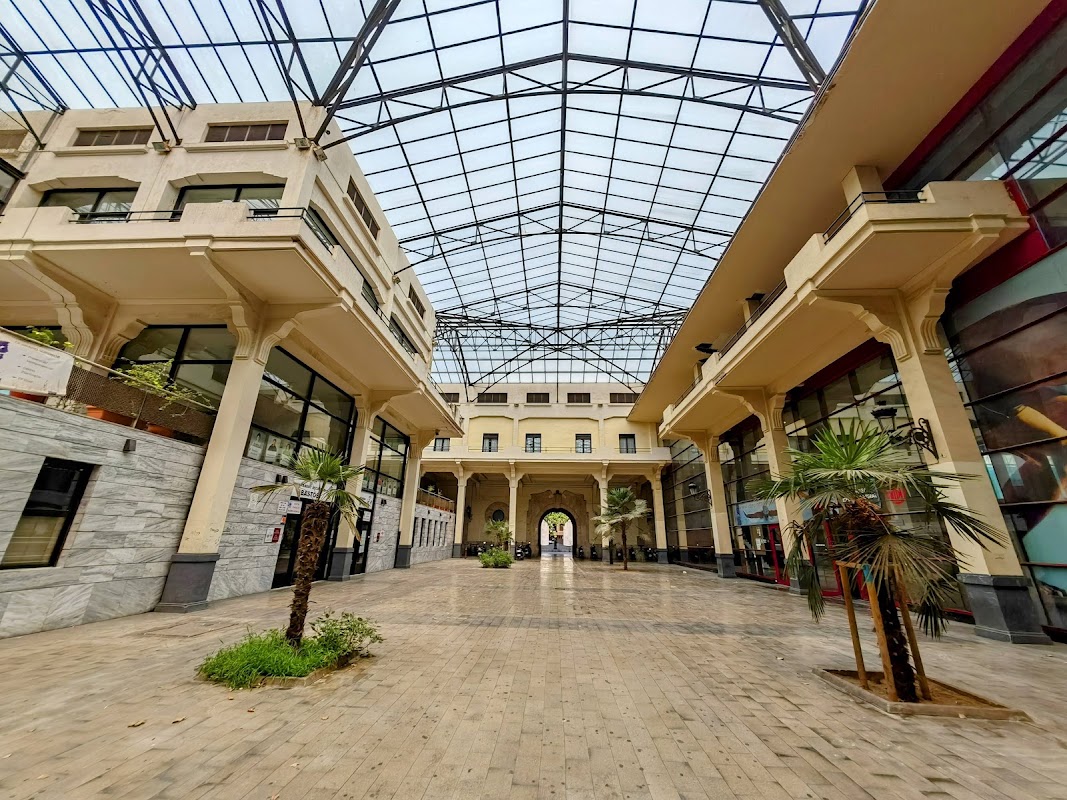 Zona canina Antiguo Mercado de Abastos en Valencia