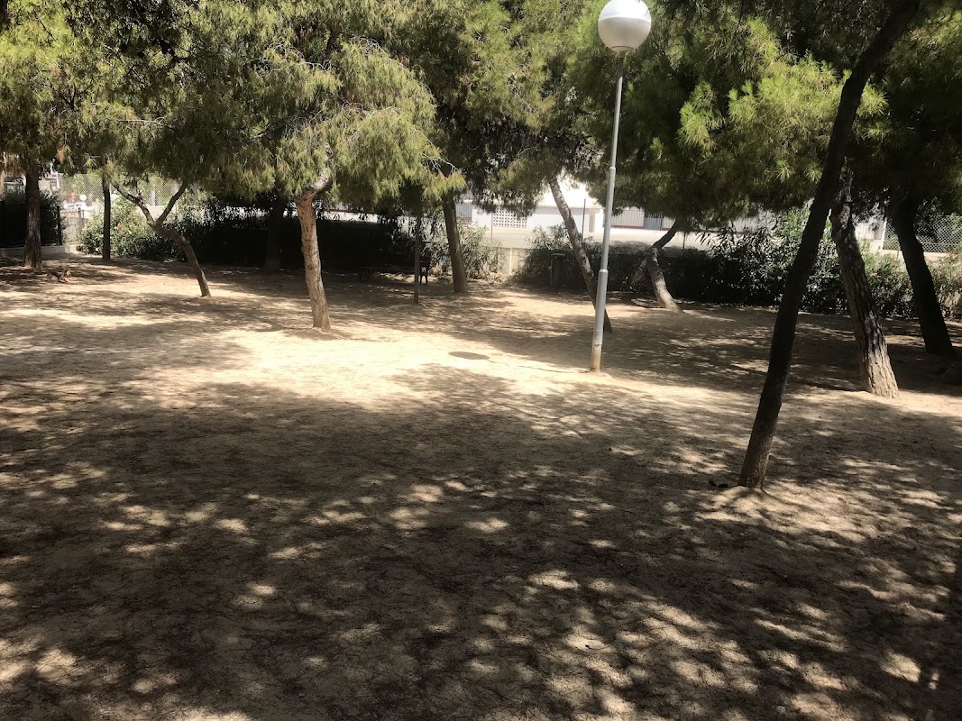 Zona canina de Calle Anguila en Alicante