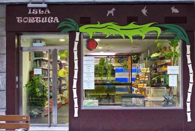 Isla Mascota en Salamanca