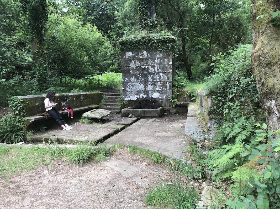 Selva Negra en Santiago de Compostela