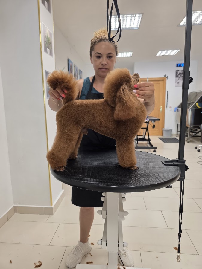 Paw Pet Salon integral Canino en Badajoz