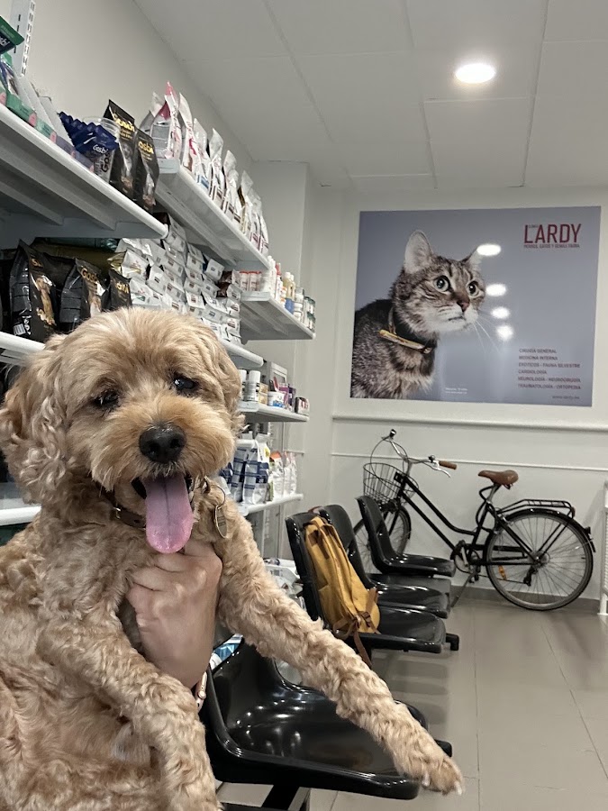 Clínica Veterinaria Lardy en San Sebastián