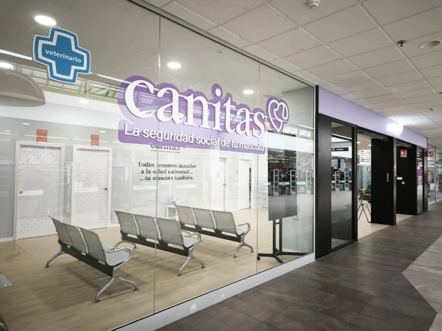 Canitas Veterinaria Murcia - CC Zaraiche en Murcia
