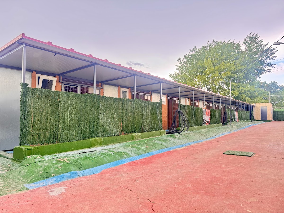 Centro Canino Aragonés en Zaragoza