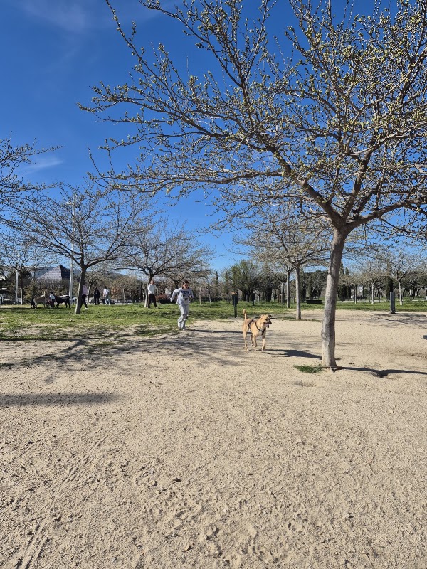 Parque Juan Carlos I — área canina en Madrid