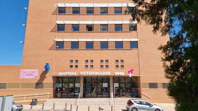 Hospital Clínico Veterinario - Universidad de Murcia en Murcia