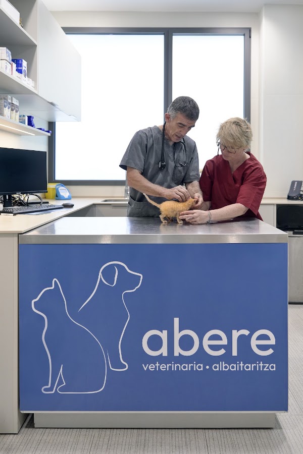 ABERE Clínica Veterinaria en San Sebastián