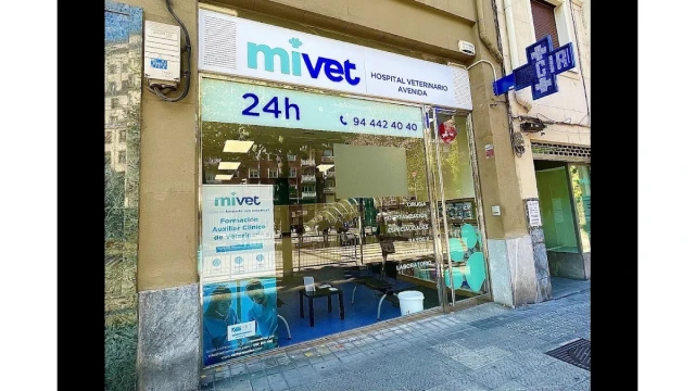 Clínica Veterinaria Avenida MiVet en Bilbao