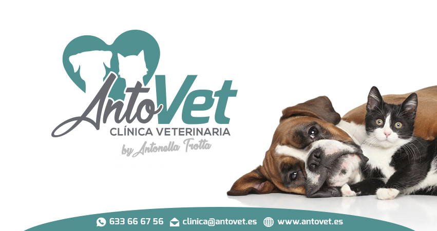 ANTOVET Clínica Veterinaria en Badajoz