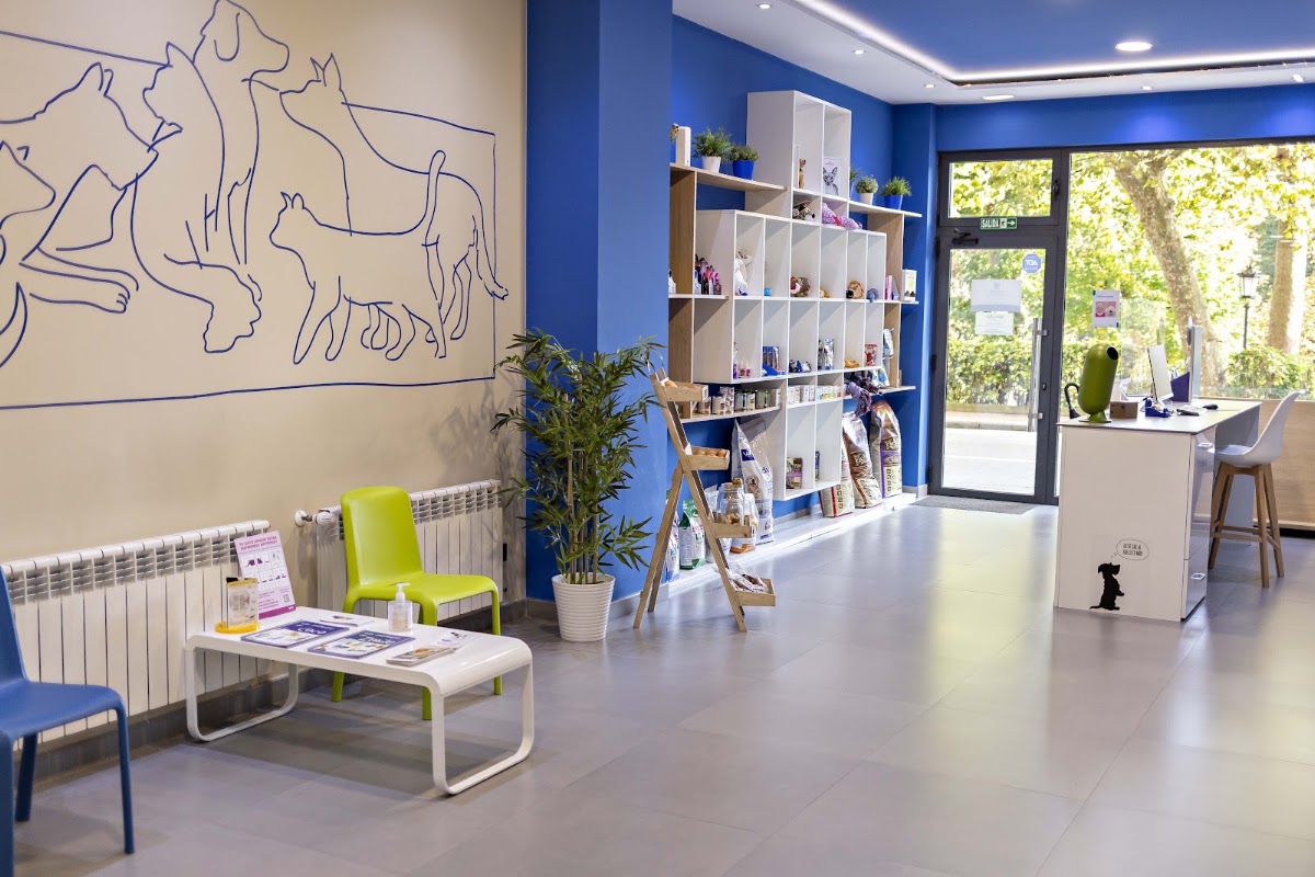 Clinica Veterinaria Kerry Blue en Oviedo
