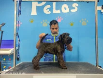 Centro Veterinario Pelos en Cádiz