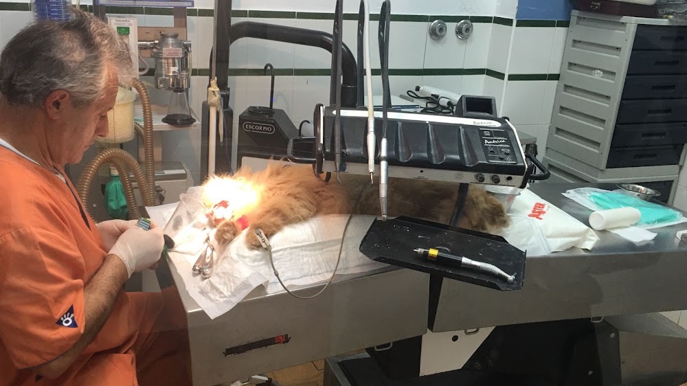 Nexo Veterinario Huelva en Huelva