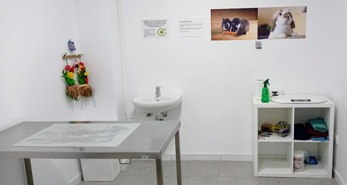 Exopet Clínica Veterinaria en Alicante