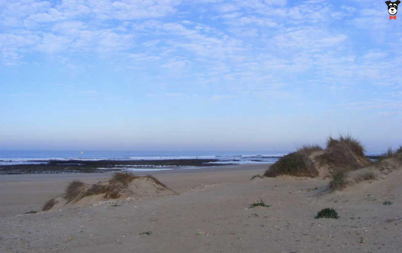 Playa Canina de Torregorda en Cádiz