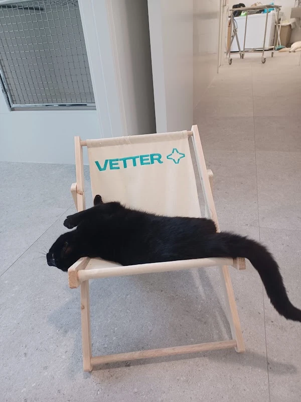 Vetter - Hospital Veterinario 24h Murcia en Murcia