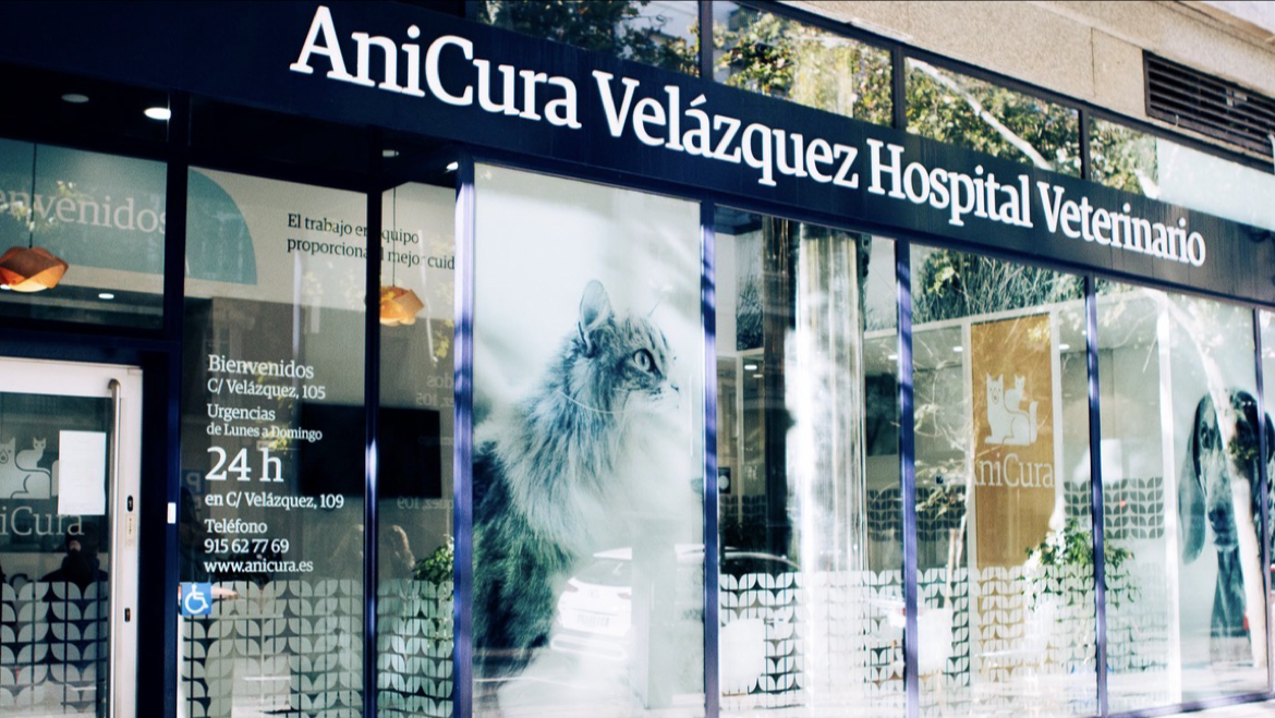 AniCura Velázquez Hospital Veterinario en Madrid