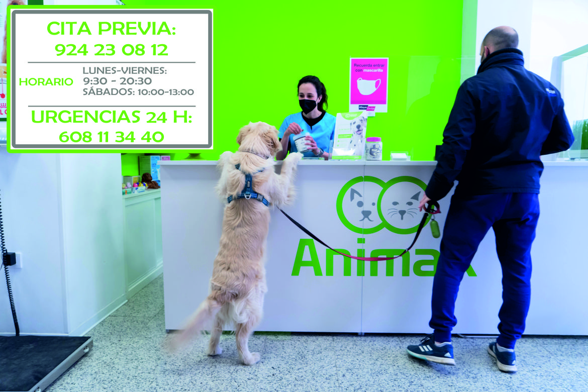Animax Clínica Veterinaria en Badajoz