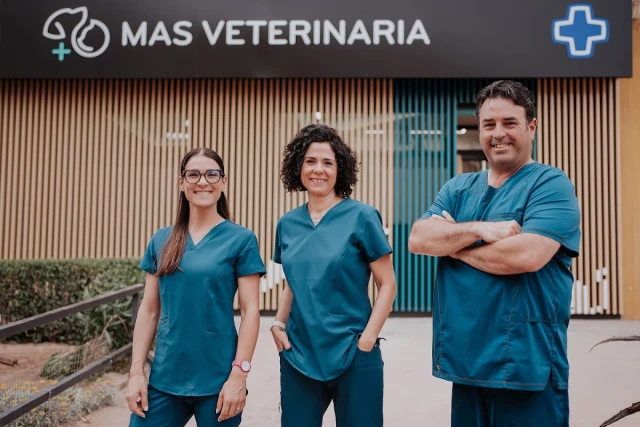 Veterinario en Córdoba | Más Veterinaria en Córdoba
