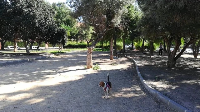 Parque canino de Babel en Alicante