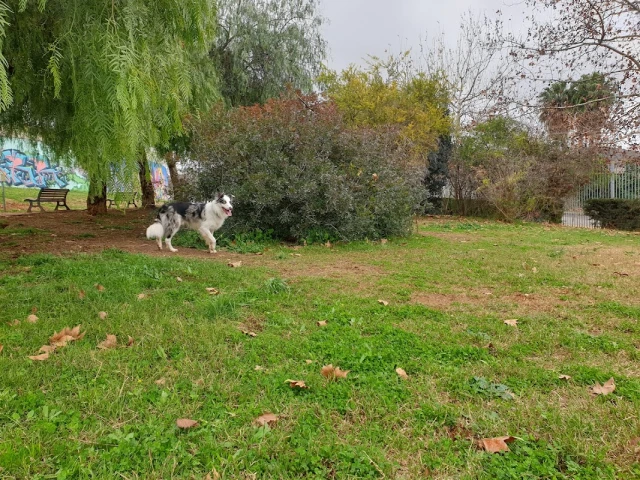 Zona Canina El Rodeo - Turno de Oficio en Cáceres