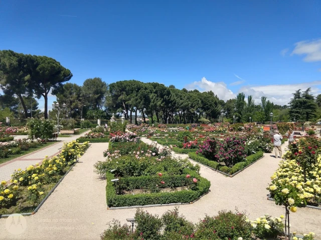 Parque del Oeste — zona canina