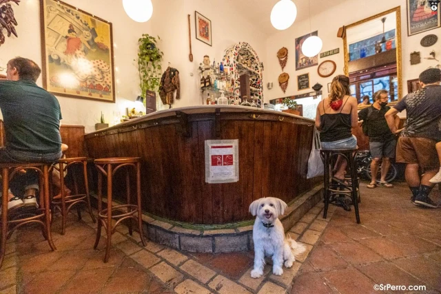 Bar Candela en Granada