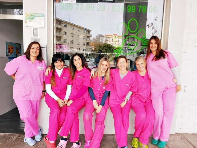 Hospital Veterinario AnimalVetx El Saladillo en Huelva